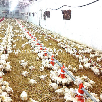 Equipamento de casa de aves de capoeira automática para produção de frango